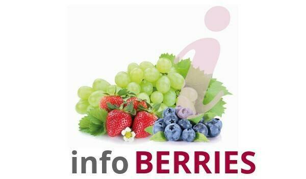 berries-INFO-TITULAR-600X-350|Berries portada 2018|Berries Info 2018|Berries Cultivo y comercio Namesny|Berries Frutos rojos congreso|berries 2|berries sostenibilidad|berries HorticulturaBlog
